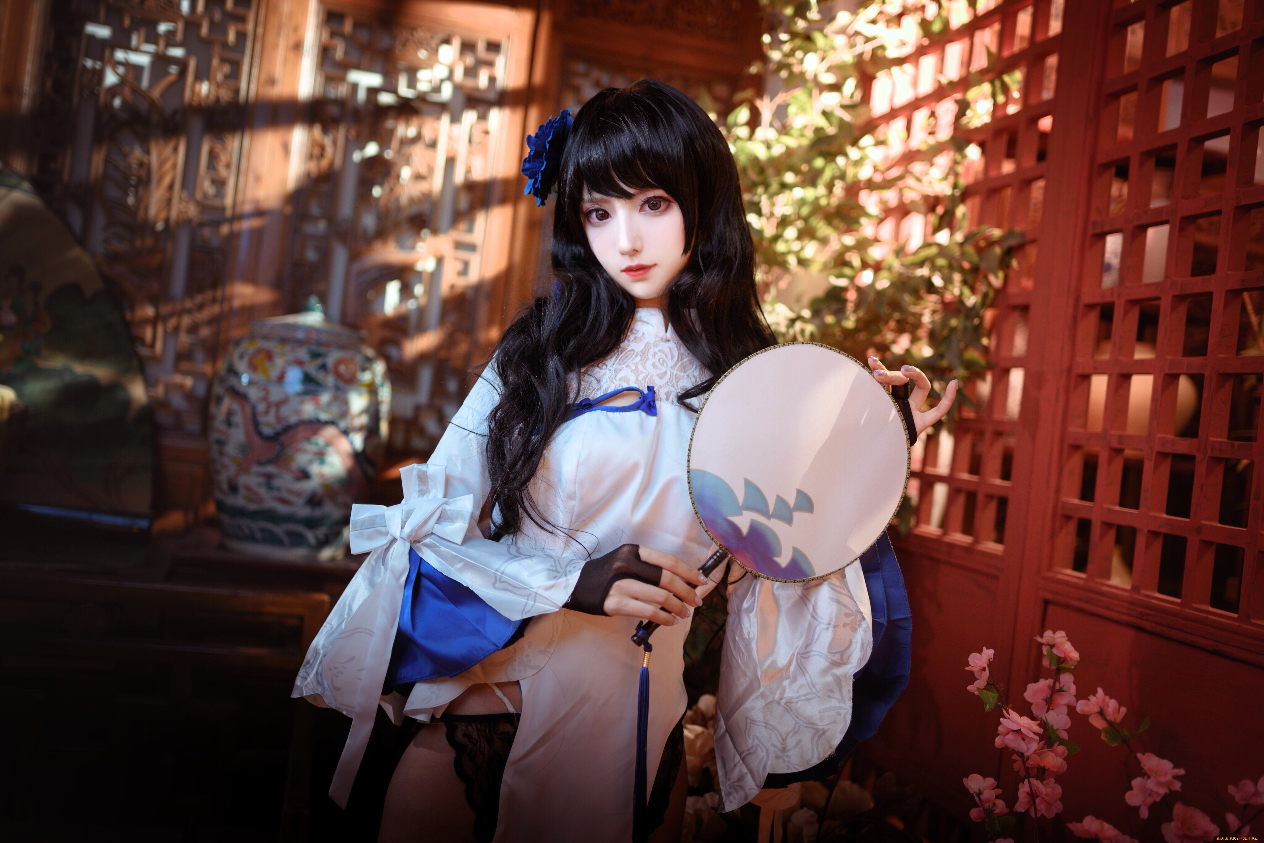 shika, , - ,  , , , 
